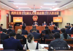 县副县长张晓代表县就落实好相关工做做 